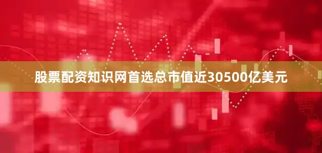 股票配资知识网首选总市值近30500亿美元