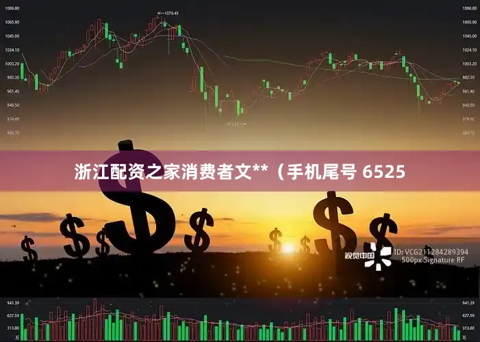 浙江配资之家消费者文**（手机尾号 6525
